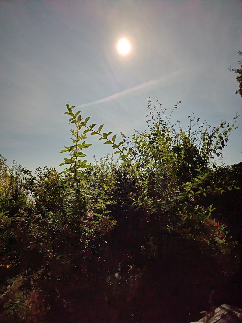 Dieses Foto ist bei Mondschein aufgenommen worden - aus der Hand, ohne Stativ.