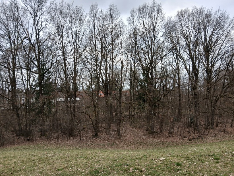 Samsung Galaxy Xcover 7 - Originalaufnahmen 