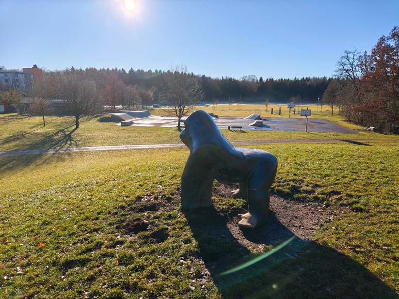 Poco F8 Pro - Originalaufnahmen 