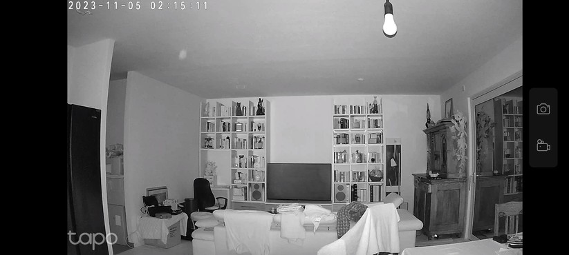 TP-Link Tapo C225: Einrichtung und Einstellungen