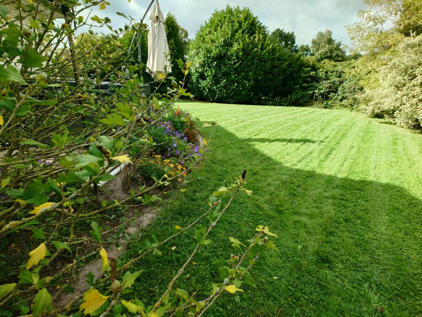 Sony Xperia 1 VII - Originalaufnahmen 