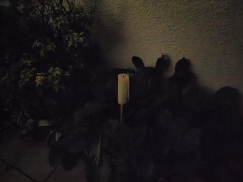 Honor 400 - Originalaufnahmen