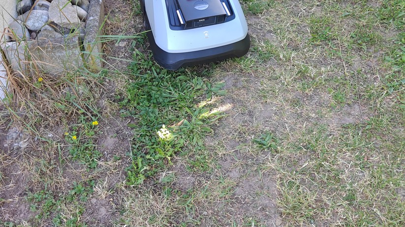 Ecovacs Goat O600 RTK bietet eine Schnittbreite von 19 cm und ist für Rasenflächen bis 600 m². 