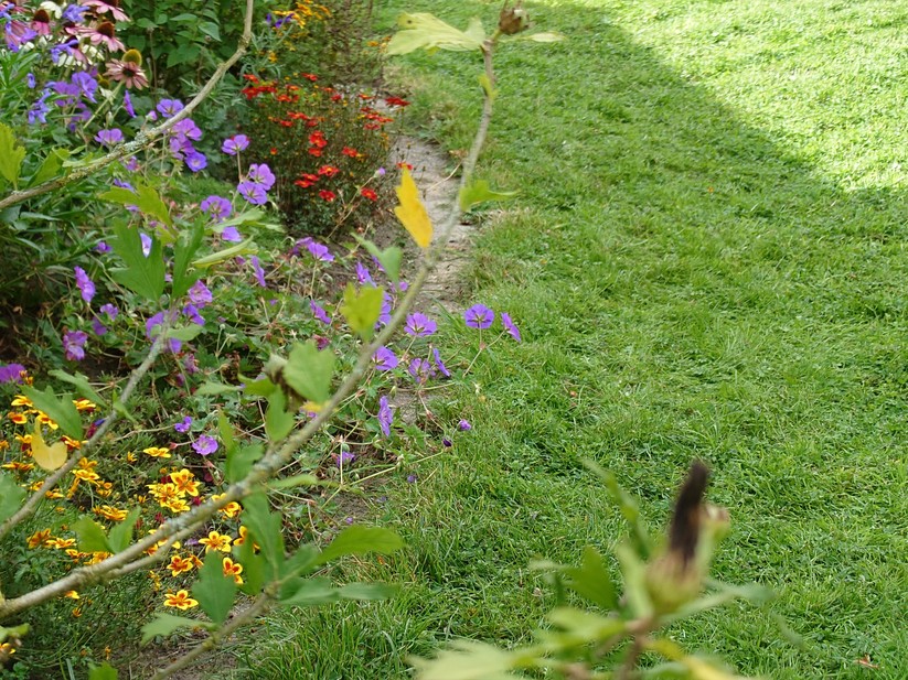 Sony Xperia 1 VII - Originalaufnahmen 