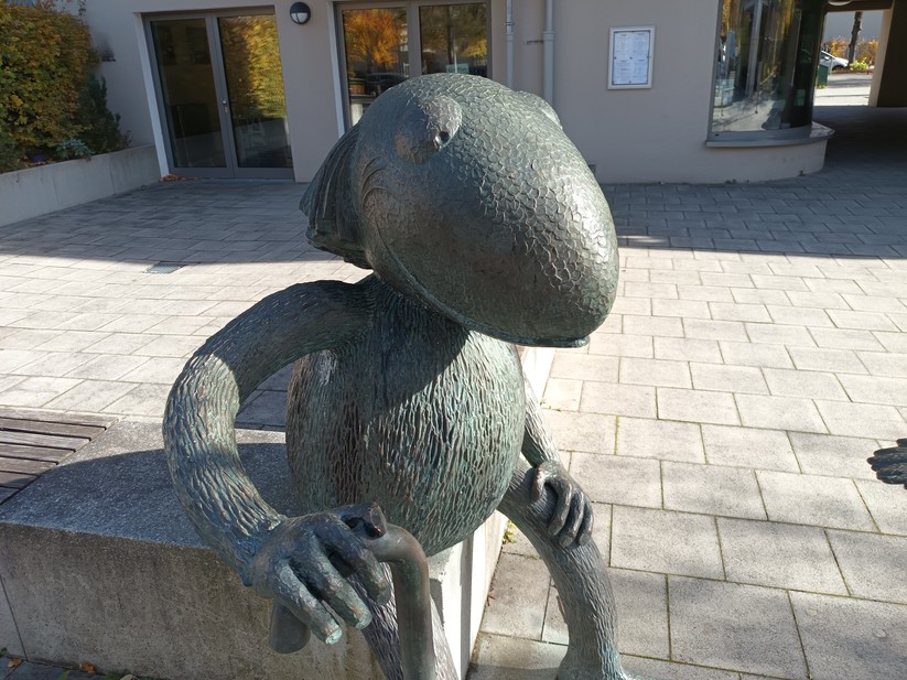 Oukitel WP60 - Originalaufnahmen