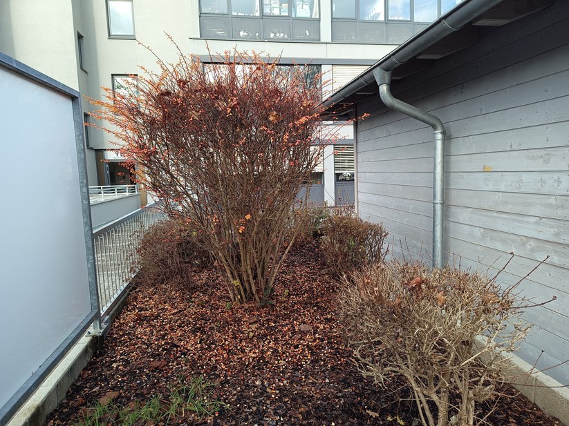 Gigaset GX6 - Originalaufnahmen