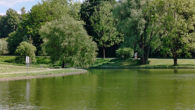 Realme 9 - Originalaufnahmen 