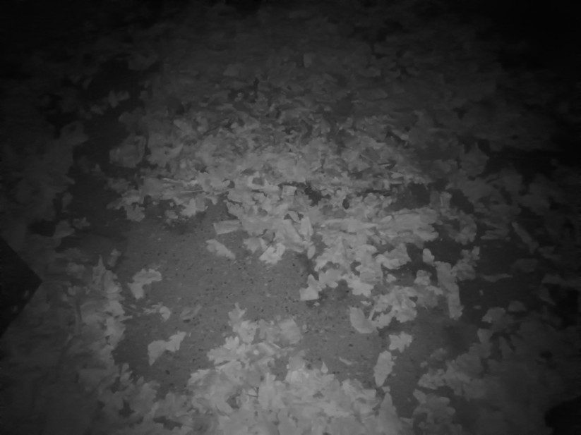 Oukitel WP60 - Originalaufnahmen 