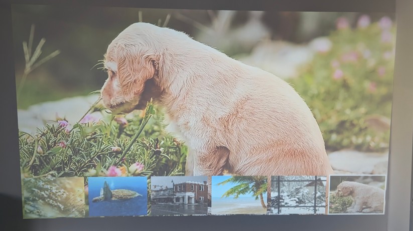 Etoe Seal Pro Screenshot