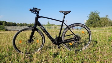 Made in Germany: Leichtes E-Bike Diamant 365 mit optionalem ...