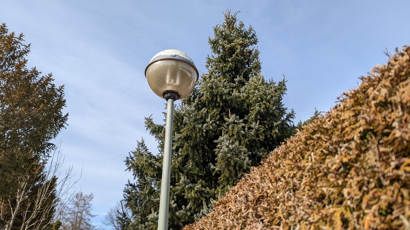 Google Pixel 6 Foto
