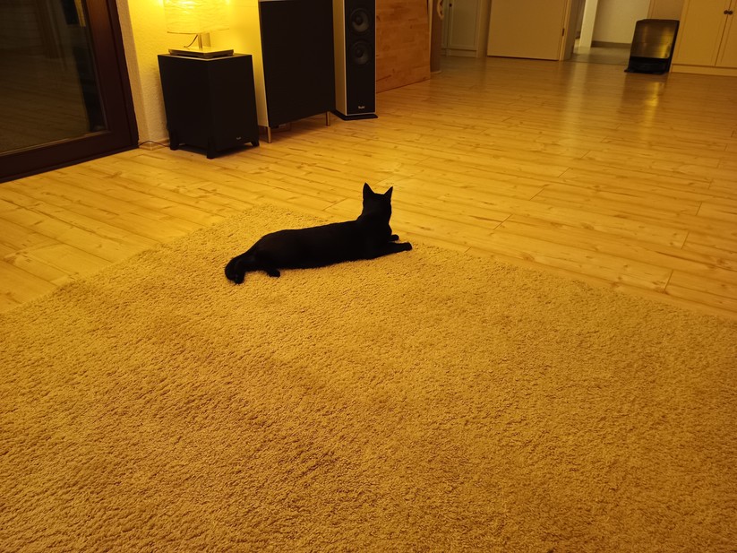 Oukitel WP56 - Originalaufnahmen 