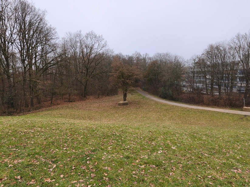 Xiaomi 15T - Originalaufnahmen