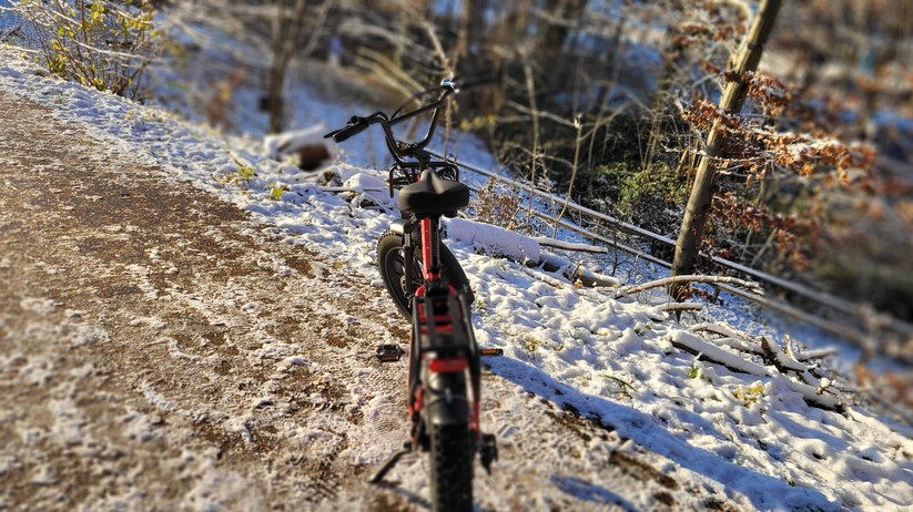  E-Bike mit Tiefeinstieg und Fat Tyres