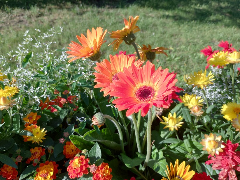 Motorola Moto G14 – Originalaufnahmen