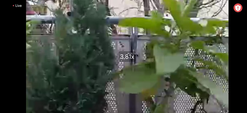Beim Zoomen per Geste zeigt die Arlo 2 Go die Zoom-Stufe an.