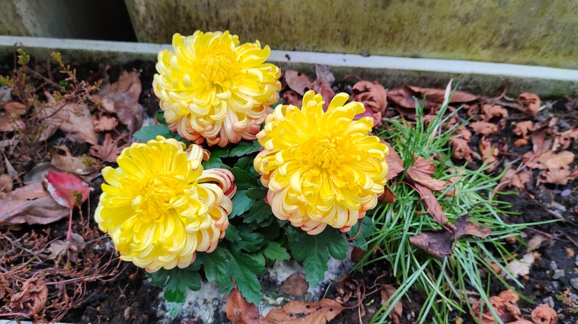 Fotos des Realme GT Neo 2