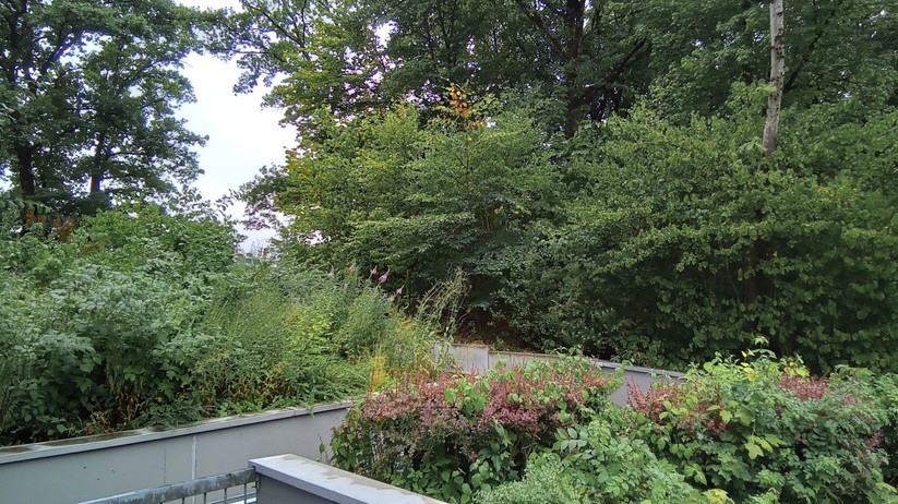 Samsung Galaxy Tab A7 Lite