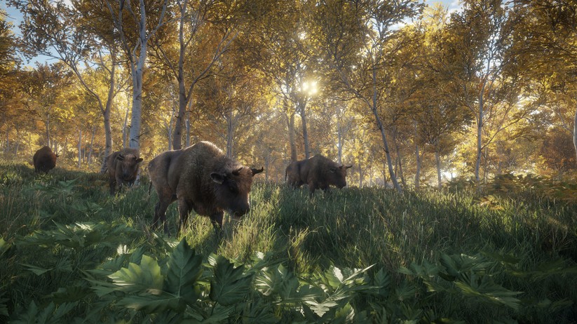 theHunter