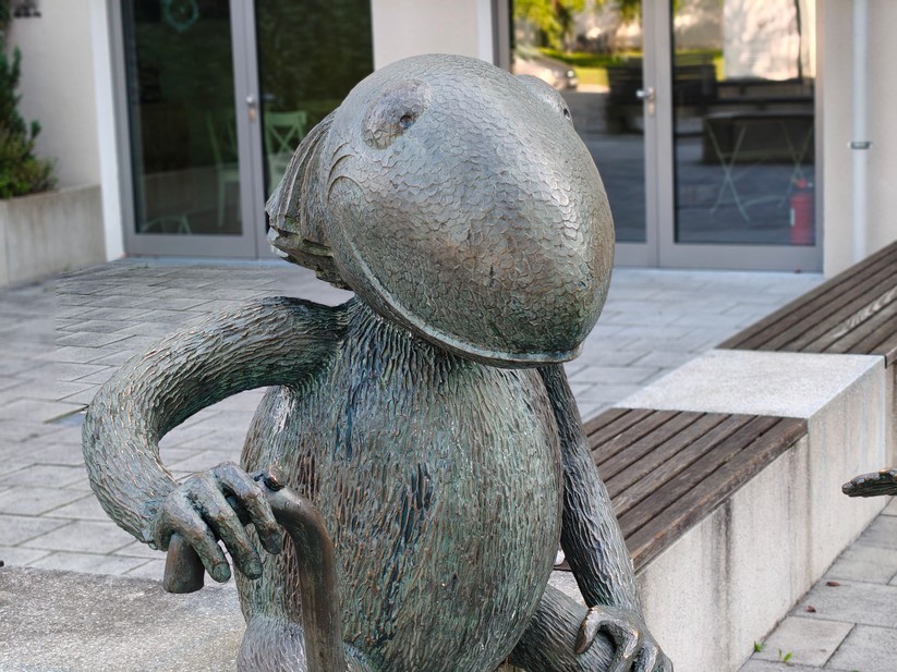 Realme 14 Pro+ 5G - Originalaufnahmen