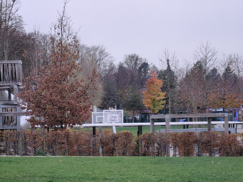 Huawei Mate 50 Pro - Originalaufnahmen