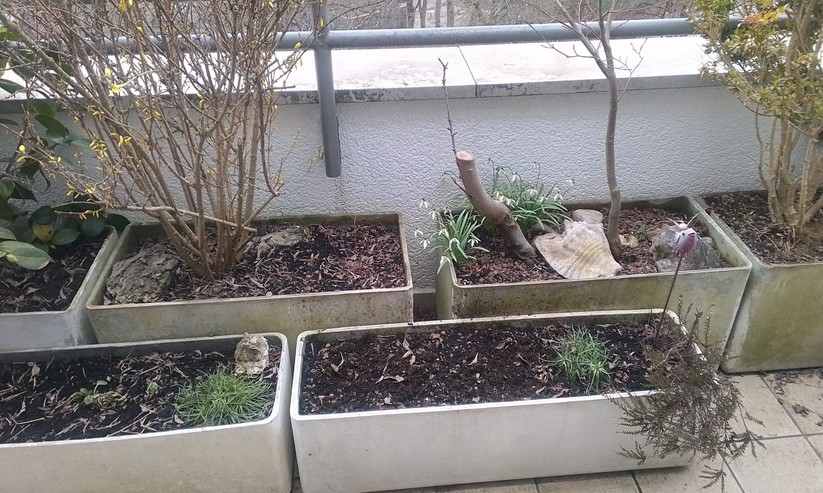 Foto mit dem Nokia T20