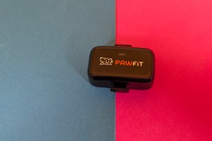 Pawfit Lite: Der leichteste GPS-Tracker im Test – perfekt für kleine Haustiere