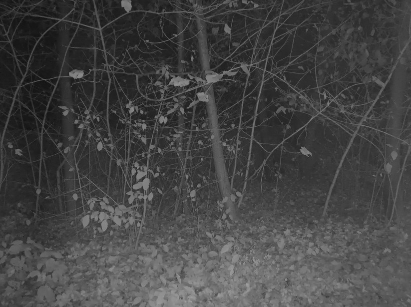 Oscal Tank 1 - Originalaufnahmen