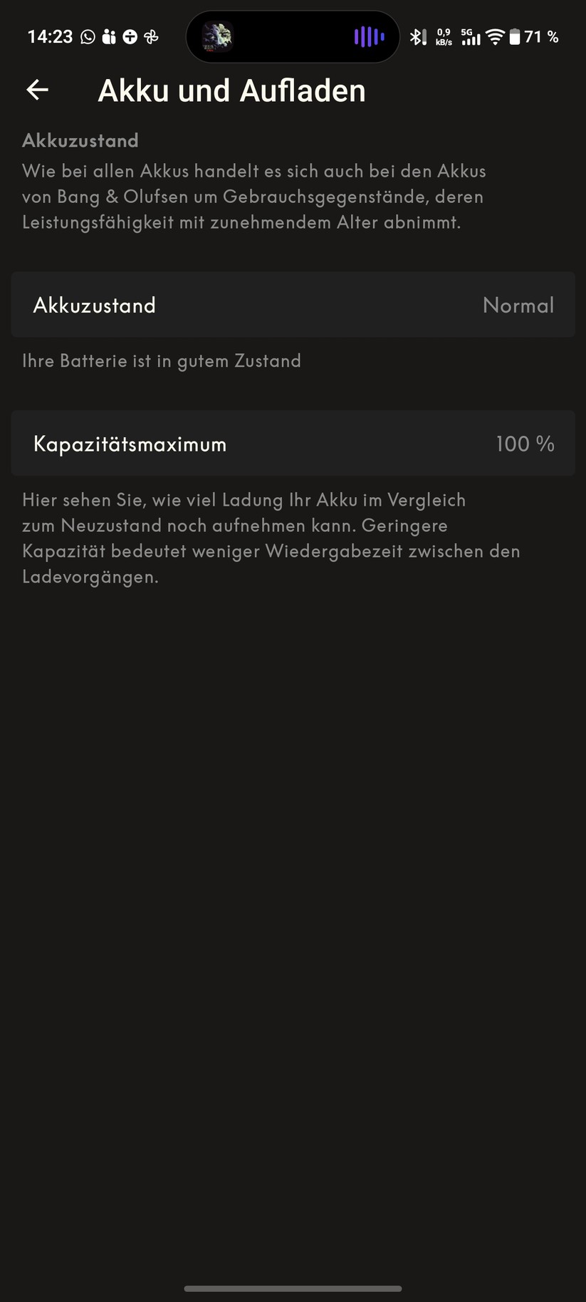 Bang & Olufsen Beoplay H100 Screenshot
