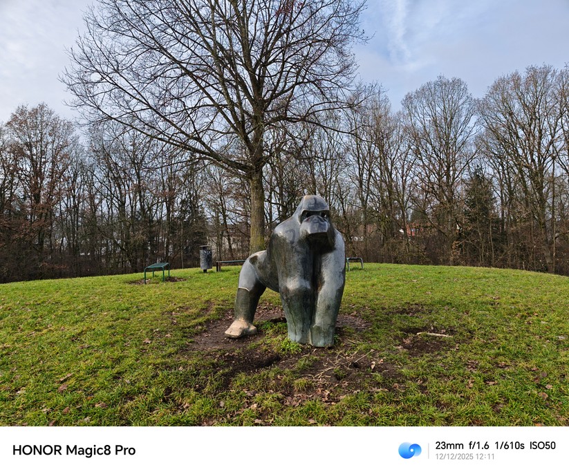 Honor Magic 8 Pro - Originalaufnahmen 