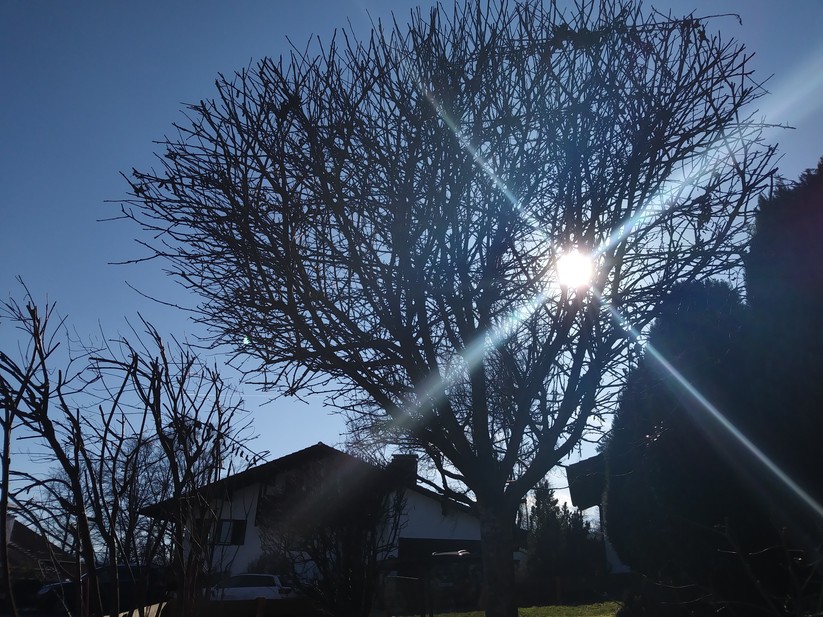 Dieses Testfoto mit massivem Gegenlicht sieht für das Einsteigergerät gar nicht mal schlecht aus. Bei wenig Licht werden die Fotos leider nicht so gut.