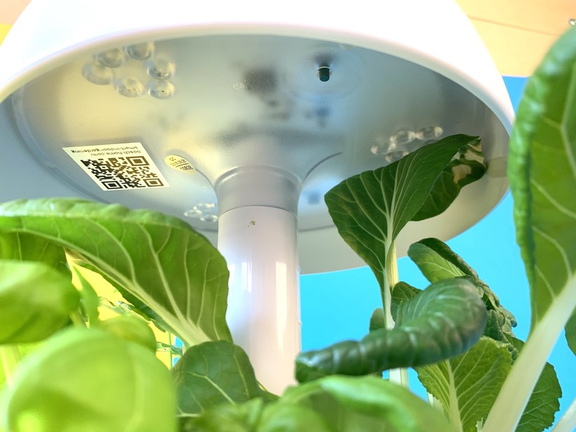 Neben den LEDs ist ein Button für die Lichteintstellung