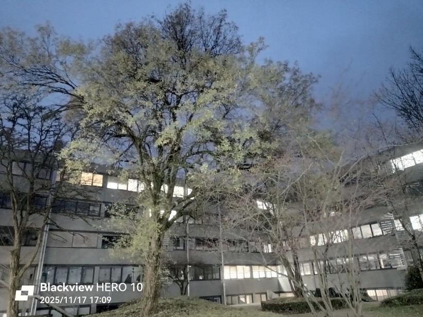 Blackview Hero 10 - Originalaufnahmen