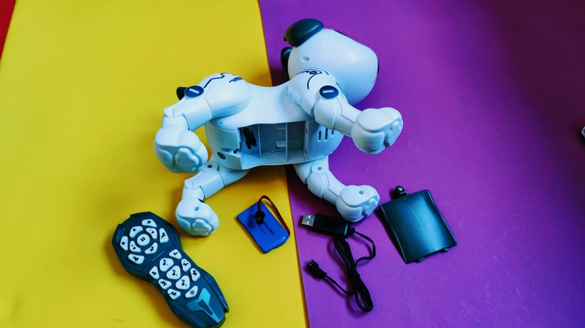 RC Roboter