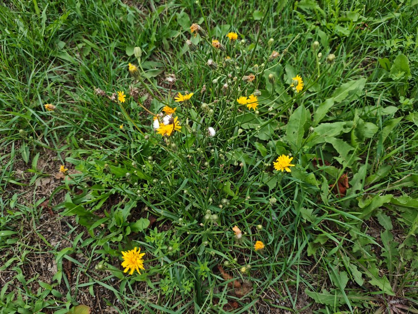 Xiaomi Poco F7 - Originalaufnahmen 