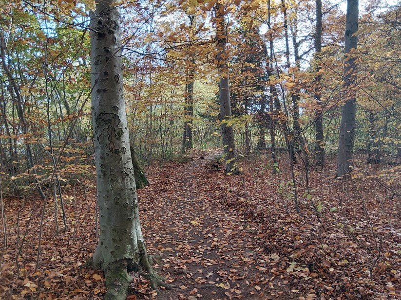 Samsung Galaxy Xcover 7 Pro – Originalaufnahmen