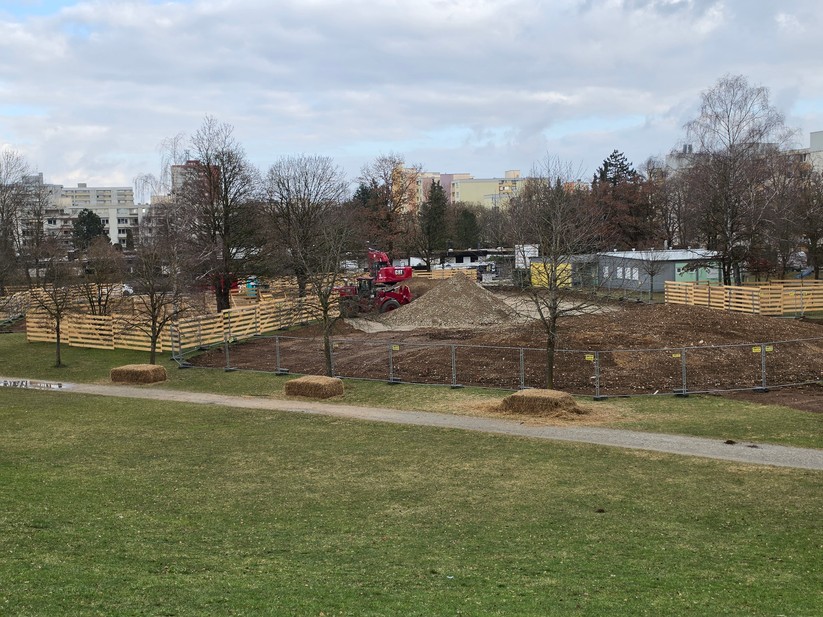 Samsung Galaxy S26 Ultra - Originalaufnahmen