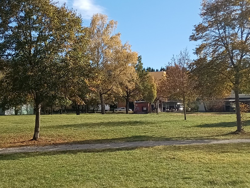 Cat S75 - Originalaufnahmen