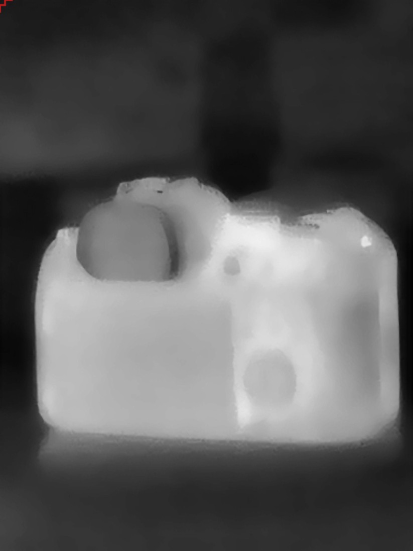 Thermal Master T2 Max: Aufnahmen