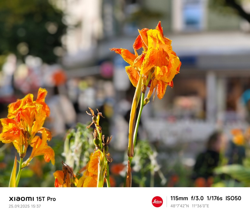 Xiaomi 15T Pro - Originalaufnahmen