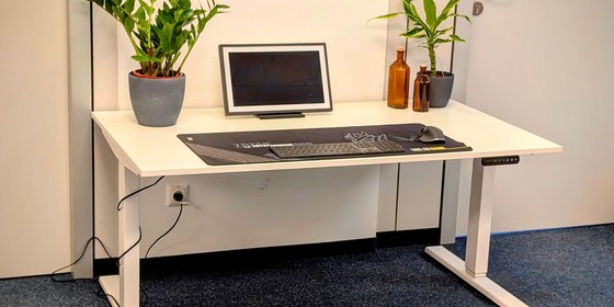 Assmann Y-Line