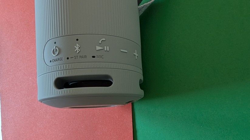 Sony XB100