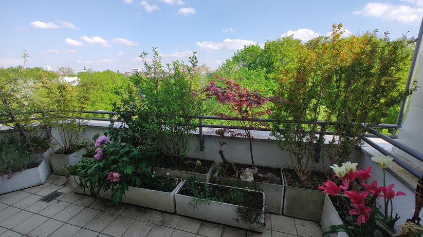 Motorola Edge 30  - Fotos