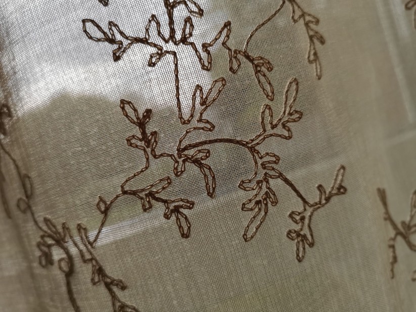 Nahaufnahme bei Tageslicht