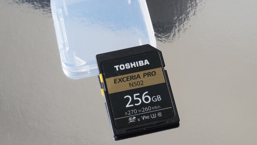 Toshiba bietet die Karte unter anderem in einer 256-GByte-Variante an.
