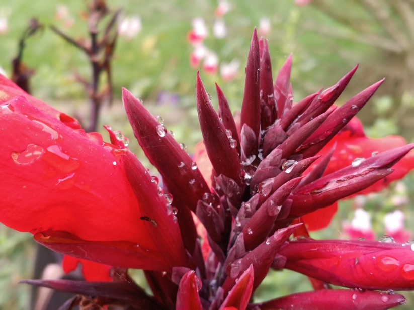 Motorola Moto G56 5G – Originalaufnahmen