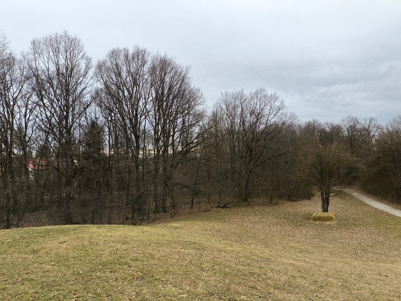 Xiaomi Poco X6 Pro - Originalaufnahmen