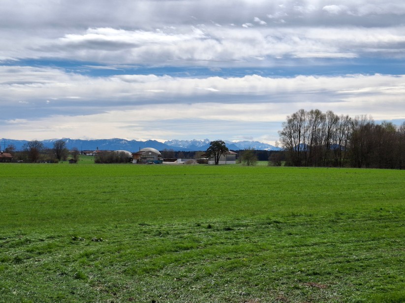 Samsung Galaxy A35 – Originalaufnahmen