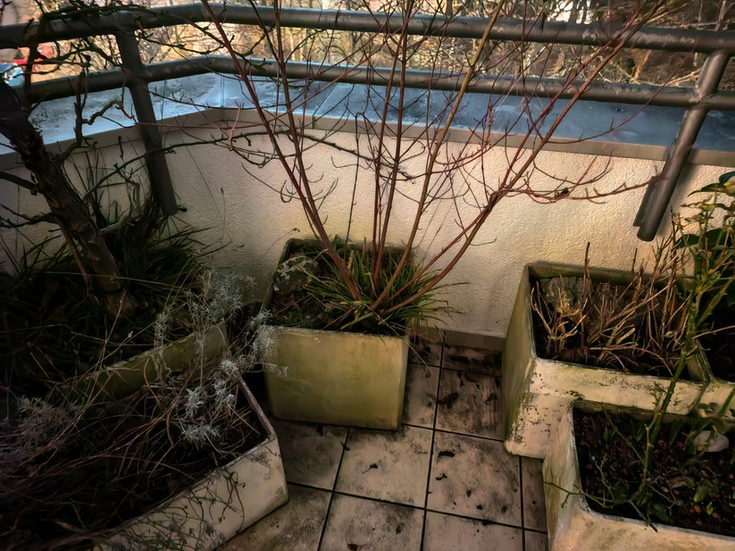 Huawei Mate X6 - Originalaufnahmen