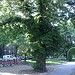 Testfoto geschossen mit einem HTC Wildfire S | BestBoyZ